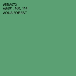 #5BA072 - Aqua Forest Color Image