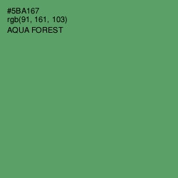 #5BA167 - Aqua Forest Color Image