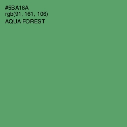 #5BA16A - Aqua Forest Color Image