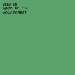 #5BA16B - Aqua Forest Color Image