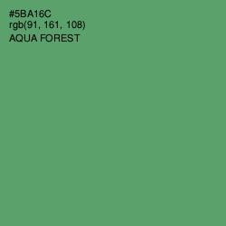 #5BA16C - Aqua Forest Color Image