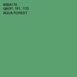#5BA170 - Aqua Forest Color Image