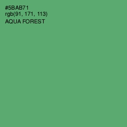 #5BAB71 - Aqua Forest Color Image