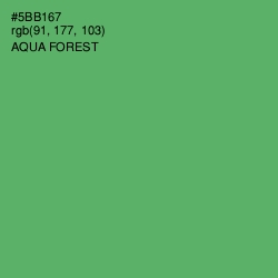 #5BB167 - Aqua Forest Color Image