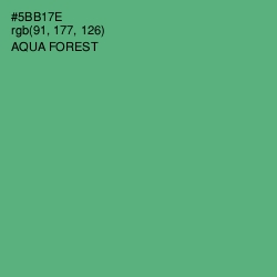 #5BB17E - Aqua Forest Color Image