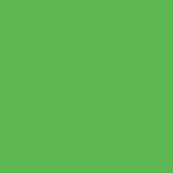 #5BB752 - Fern Color Image