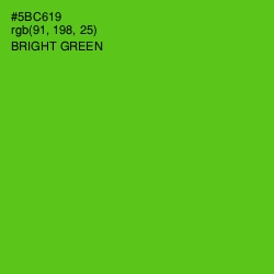 #5BC619 - Bright Green Color Image