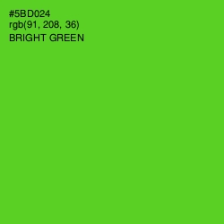 #5BD024 - Bright Green Color Image