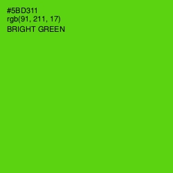 #5BD311 - Bright Green Color Image