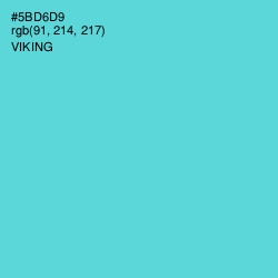 #5BD6D9 - Viking Color Image