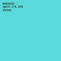 #5BDADC - Viking Color Image