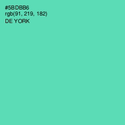 #5BDBB6 - De York Color Image