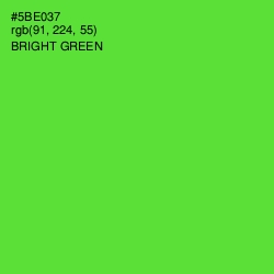 #5BE037 - Bright Green Color Image