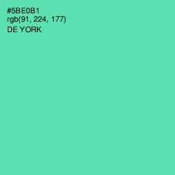 #5BE0B1 - De York Color Image