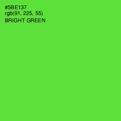 #5BE137 - Bright Green Color Image