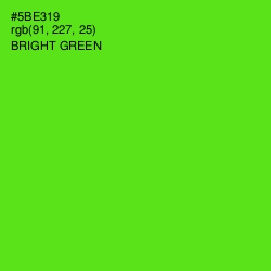 #5BE319 - Bright Green Color Image