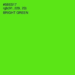 #5BE517 - Bright Green Color Image