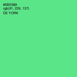 #5BE589 - De York Color Image