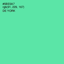 #5BE5A7 - De York Color Image