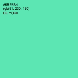 #5BE6B4 - De York Color Image