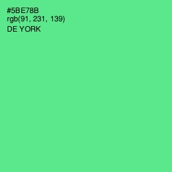 #5BE78B - De York Color Image