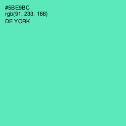 #5BE9BC - De York Color Image