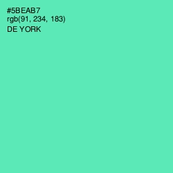 #5BEAB7 - De York Color Image