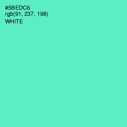 #5BEDC6 - Downy Color Image