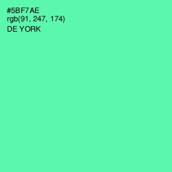 #5BF7AE - De York Color Image