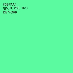 #5BFAA1 - De York Color Image