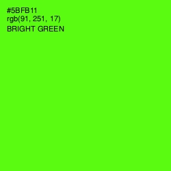 #5BFB11 - Bright Green Color Image