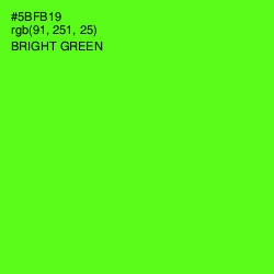 #5BFB19 - Bright Green Color Image