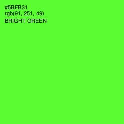 #5BFB31 - Bright Green Color Image