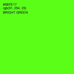 #5BFE17 - Bright Green Color Image