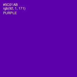 #5C01AB - Purple Color Image