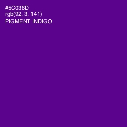 #5C038D - Pigment Indigo Color Image