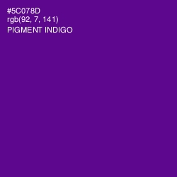 #5C078D - Pigment Indigo Color Image