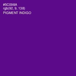 #5C098A - Pigment Indigo Color Image