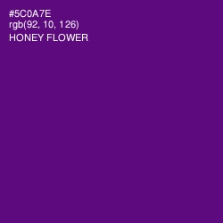 #5C0A7E - Honey Flower Color Image