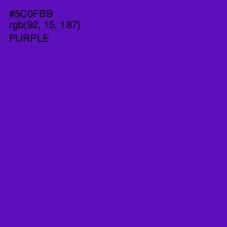 #5C0FBB - Purple Color Image
