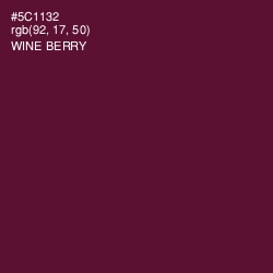 #5C1132 - Wine Berry Color Image