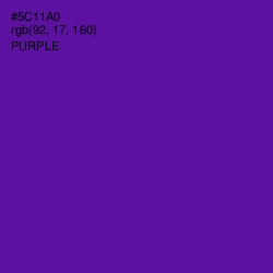 #5C11A0 - Purple Color Image