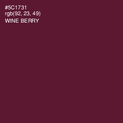 #5C1731 - Wine Berry Color Image