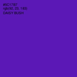 #5C17B7 - Daisy Bush Color Image