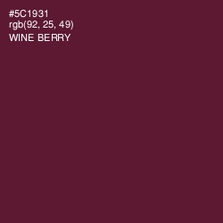 #5C1931 - Wine Berry Color Image