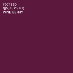 #5C193D - Wine Berry Color Image