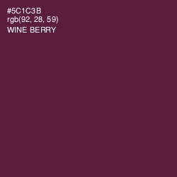 #5C1C3B - Wine Berry Color Image