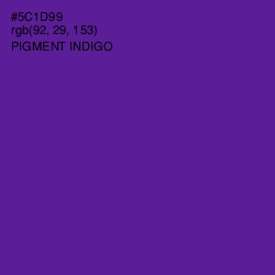 #5C1D99 - Pigment Indigo Color Image