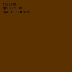 #5C3100 - Saddle Brown Color Image