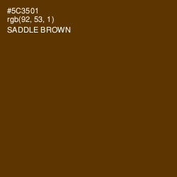 #5C3501 - Saddle Brown Color Image